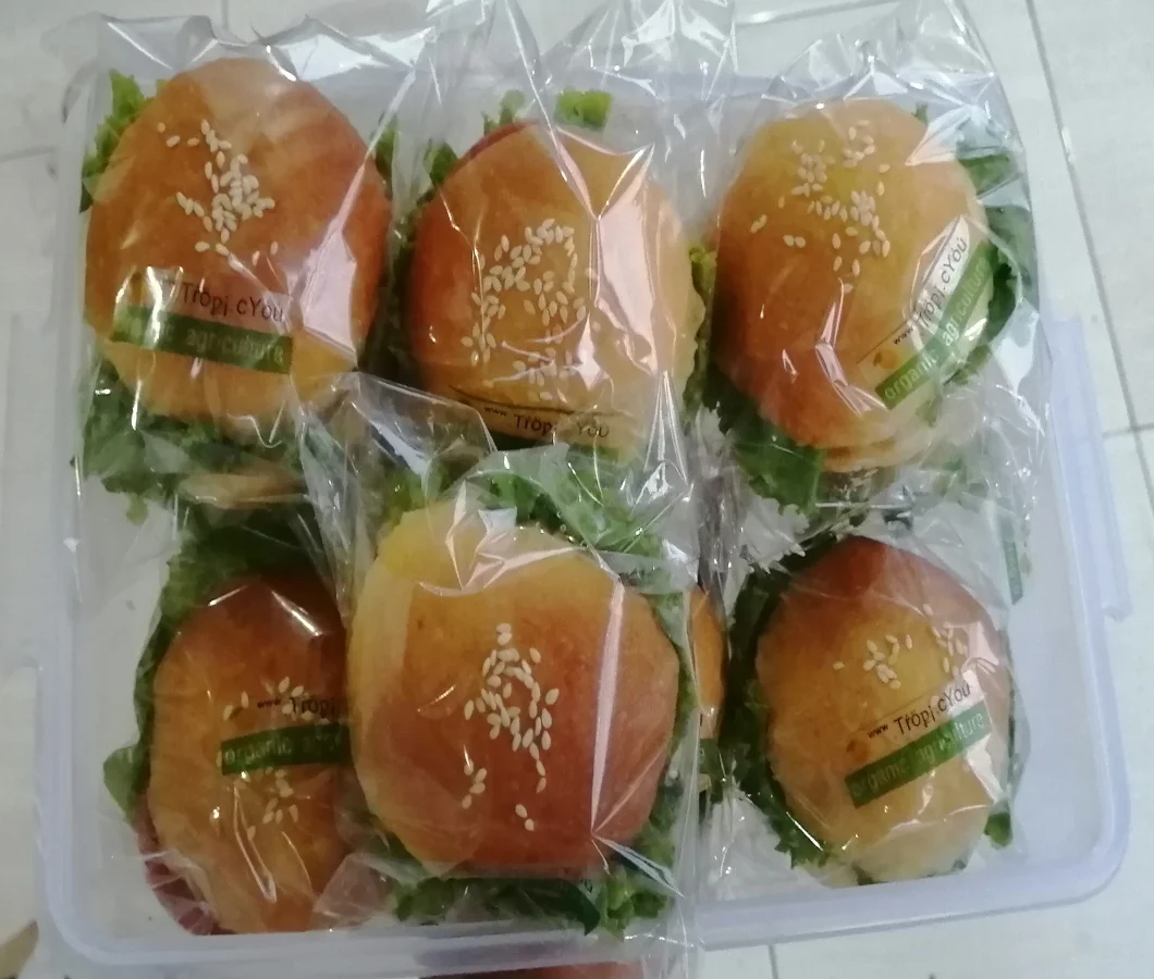 Burger Organic TropicYou