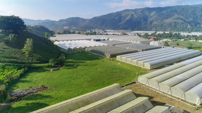 Greenhouse 6x12 meter dan pemandangan gunung di atas tanah kavling Malang Kota