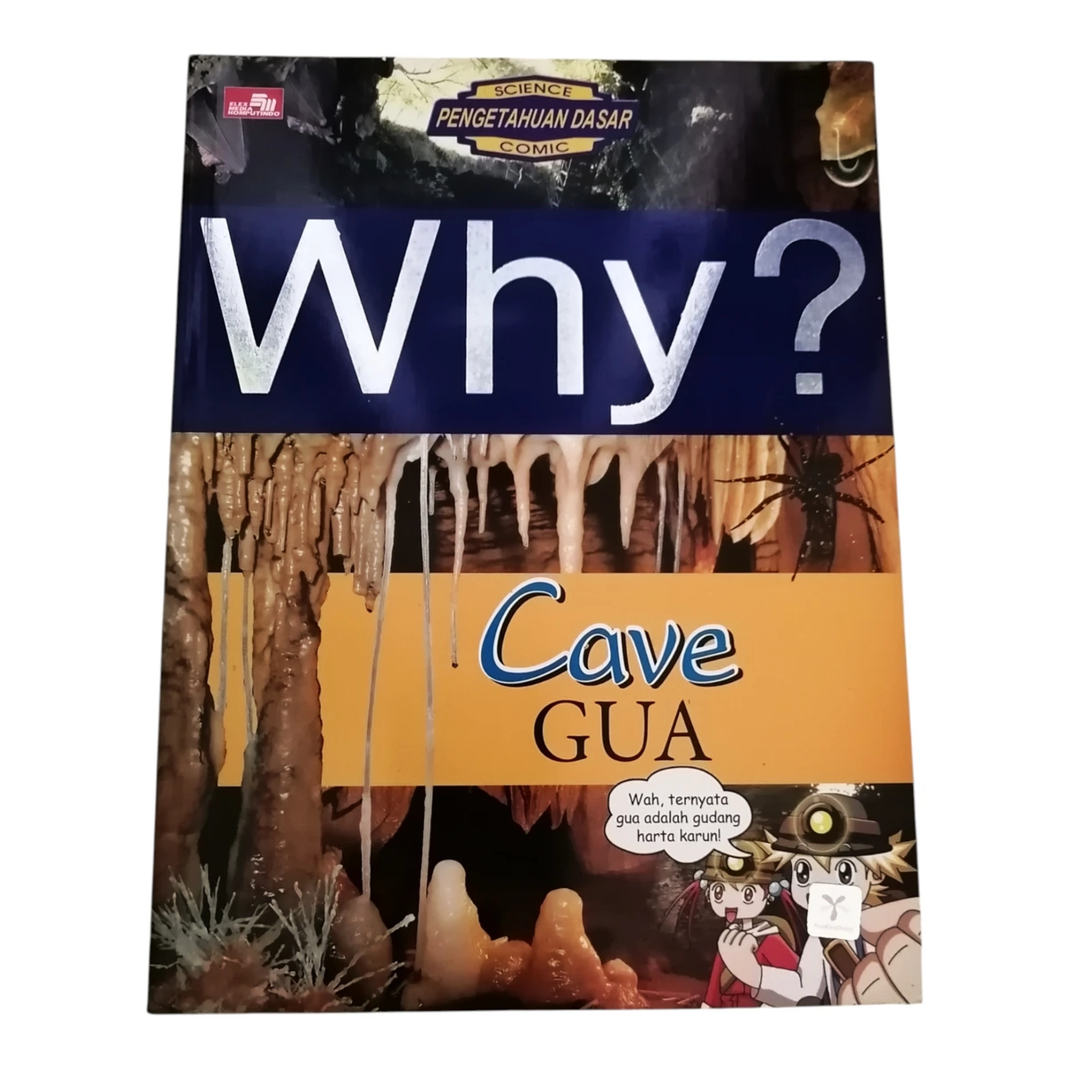 Why? Cave Gua