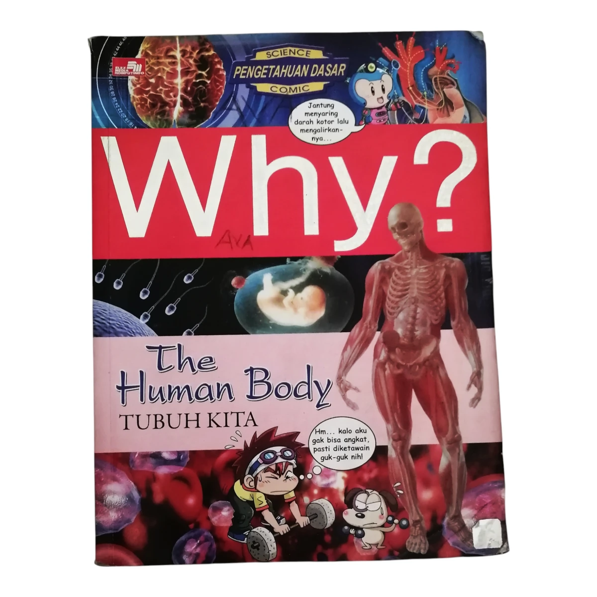 Why? The Human Body