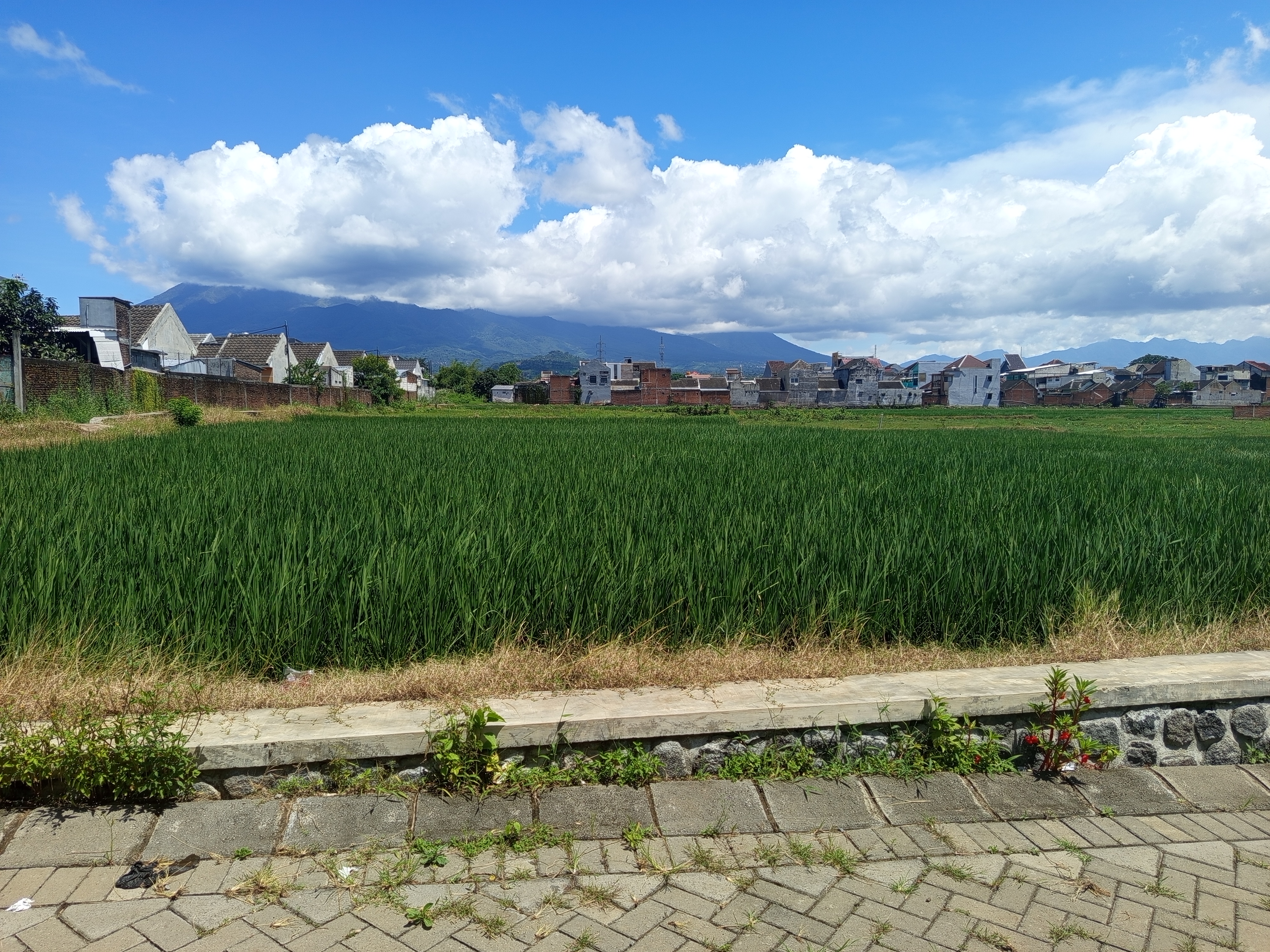 Perumahan Morse di sekitar lokasi tanah strategis Malang Kota