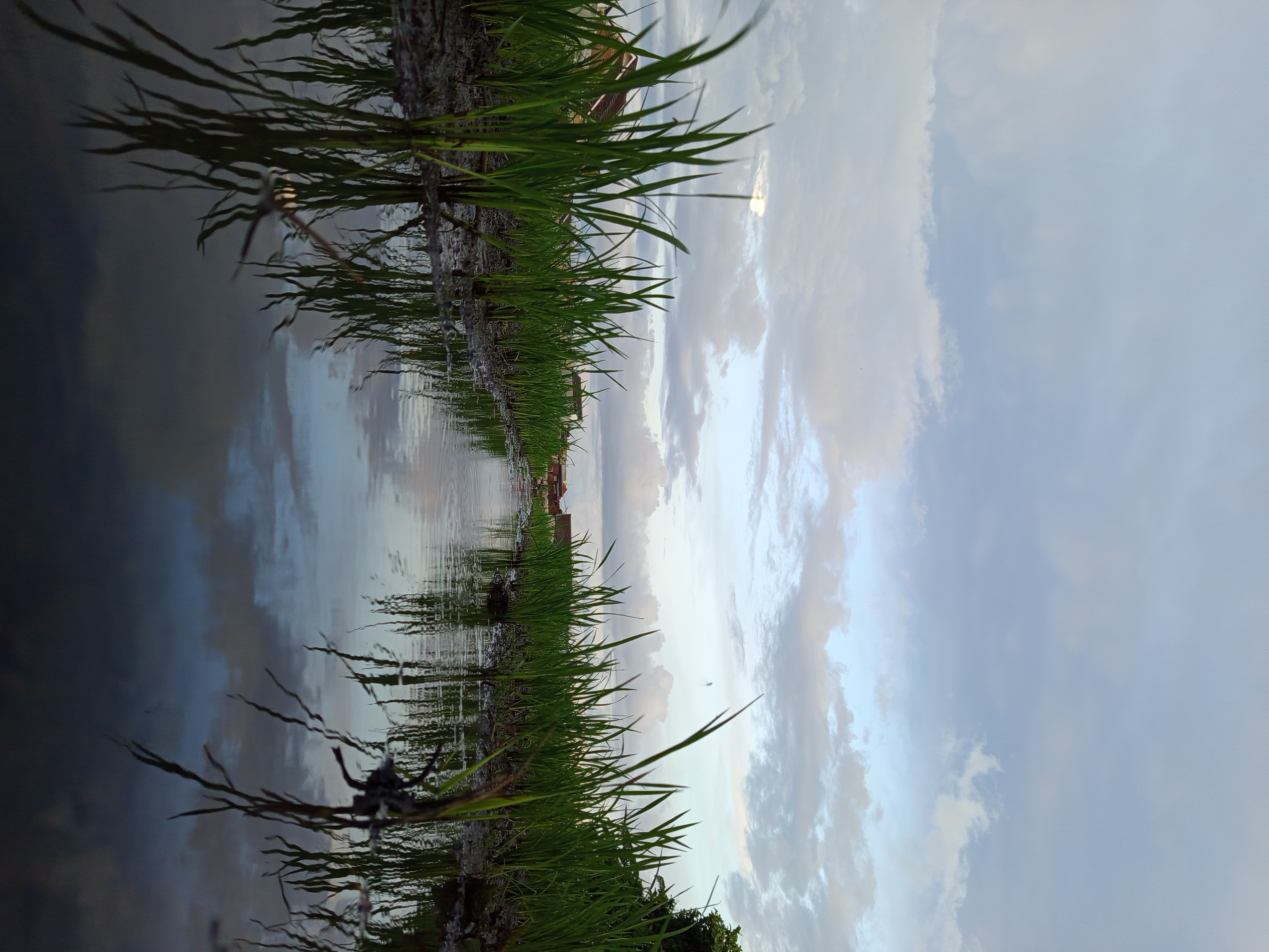 Green house 6x12 meter di atas tanah kavling Bandungrejosari